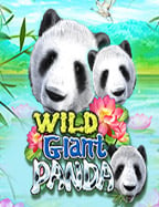 สมัคร เอ เย่ น ค่า สิ โน ไม่ ต้อง ลงทุน หมุนสล็อตปังทุกครั้ง